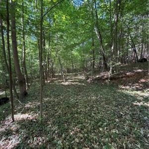 Photo #9 of Partridge, Lexington, NC 0.7 acres