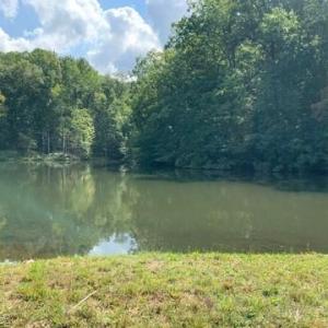 Photo #1 of 7621 Whisper Hollow, Lewisville, NC 0.9 acres