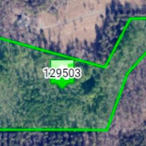 Photo #2 of Bass Mountain, Snow Camp, NC 18.1 acres