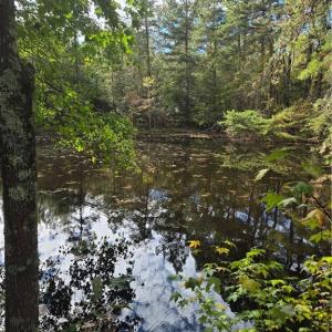 Photo #6 of Bass Mountain, Snow Camp, NC 18.1 acres