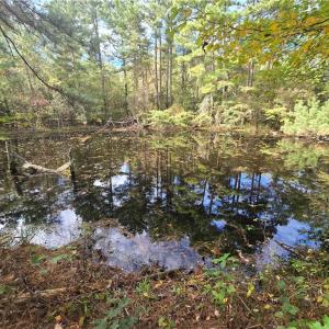 Photo #7 of Bass Mountain, Snow Camp, NC 18.1 acres