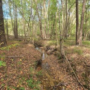 Photo #5 of Bass Mountain, Snow Camp, NC 18.1 acres