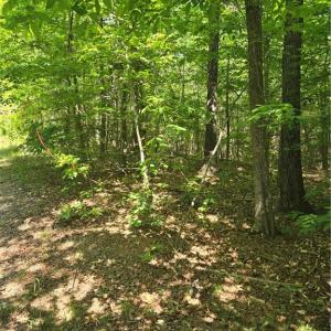 Photo #9 of Bass Mountain, Snow Camp, NC 18.1 acres