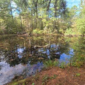 Photo #8 of Bass Mountain, Snow Camp, NC 18.1 acres