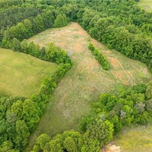 Photo #3 of 4275 Grubbs, Walkertown, NC 65.0 acres