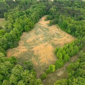 Photo #5 of 4275 Grubbs, Walkertown, NC 65.0 acres