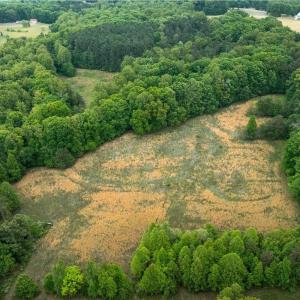 Photo #4 of 4275 Grubbs, Walkertown, NC 65.0 acres