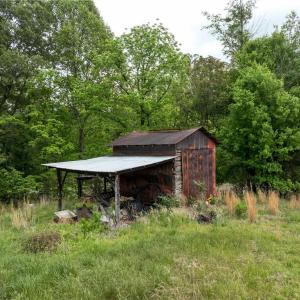 Photo #8 of 4275 Grubbs, Walkertown, NC 65.0 acres
