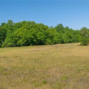 Photo #5 of 292 Lighthouse, Lexington, NC 4.4 acres