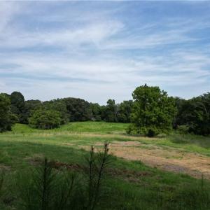 Photo #26 of NC Highway 49, Denton, NC 80.0 acres