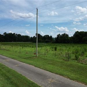 Photo #7 of NC Highway 49, Denton, NC 80.0 acres