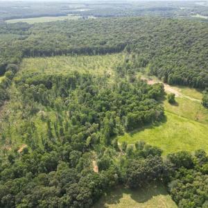 Photo #1 of NC Highway 49, Denton, NC 80.0 acres
