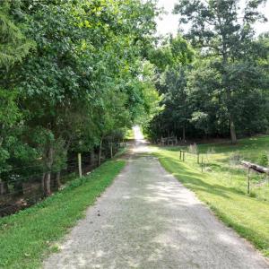 Photo #9 of NC Highway 49, Denton, NC 80.0 acres