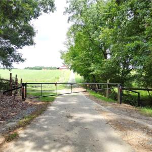 Photo #10 of NC Highway 49, Denton, NC 80.0 acres