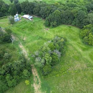 Photo #31 of NC Highway 49, Denton, NC 80.0 acres