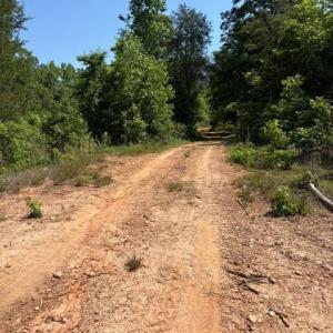 Photo #2 of 467 Crousetown, Lexington, NC 41.9 acres