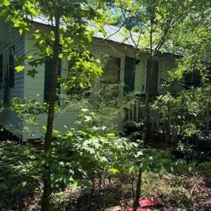 Photo #6 of 467 Crousetown, Lexington, NC 41.9 acres