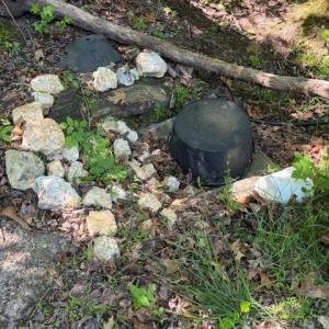 Photo #9 of 467 Crousetown, Lexington, NC 41.9 acres