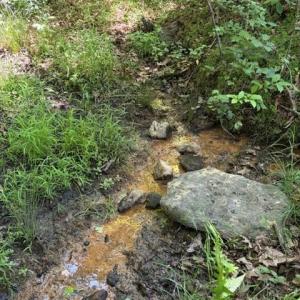 Photo #8 of 467 Crousetown, Lexington, NC 41.9 acres