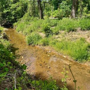 Photo #3 of 405 Brown, King, NC 3.0 acres