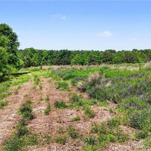 Photo #2 of 1832 Tysinger, Denton, NC 35.0 acres