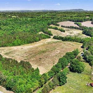 Photo #13 of 1832 Tysinger, Denton, NC 35.0 acres