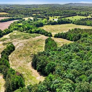 Photo #16 of 1832 Tysinger, Denton, NC 35.0 acres