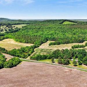 Photo #12 of 1832 Tysinger, Denton, NC 35.0 acres