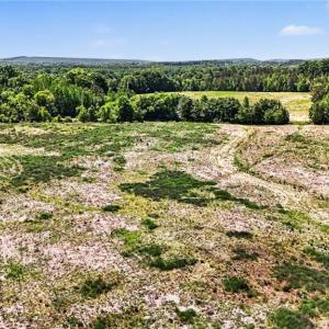 Photo #7 of 1832 Tysinger, Denton, NC 35.0 acres