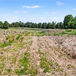 Photo #3 of 1832 Tysinger, Denton, NC 35.0 acres
