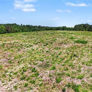 Photo #5 of 1832 Tysinger, Denton, NC 35.0 acres