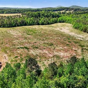 Photo #9 of 1832 Tysinger, Denton, NC 35.0 acres