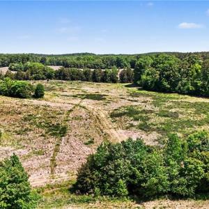 Photo #10 of 1832 Tysinger, Denton, NC 35.0 acres