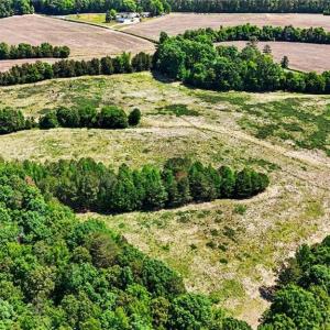 Photo #15 of 1832 Tysinger, Denton, NC 35.0 acres