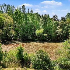 Photo #11 of 1832 Tysinger, Denton, NC 35.0 acres