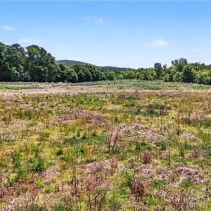 Photo #4 of 1832 Tysinger, Denton, NC 35.0 acres
