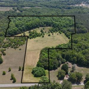 Photo #2 of Witty, Summerfield, NC 20.3 acres