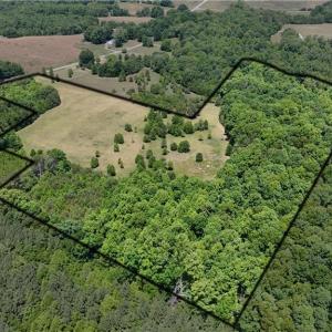 Photo #6 of Witty, Summerfield, NC 20.3 acres