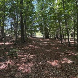 Photo #13 of Witty, Summerfield, NC 20.3 acres