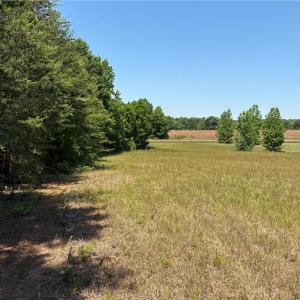 Photo #17 of Witty, Summerfield, NC 20.3 acres