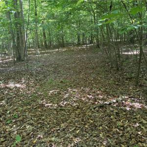 Photo #16 of Witty, Summerfield, NC 20.3 acres