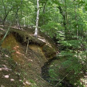 Photo #12 of Witty, Summerfield, NC 20.3 acres