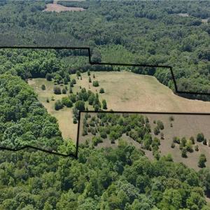 Photo #3 of Witty, Summerfield, NC 20.3 acres