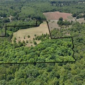 Photo #5 of Witty, Summerfield, NC 20.3 acres