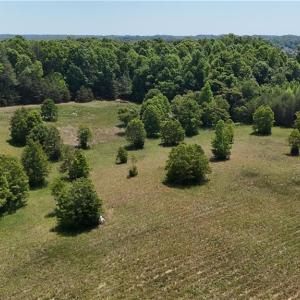Photo #9 of Witty, Summerfield, NC 20.3 acres