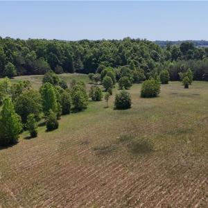 Photo #10 of Witty, Summerfield, NC 20.3 acres