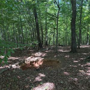Photo #15 of Witty, Summerfield, NC 20.3 acres