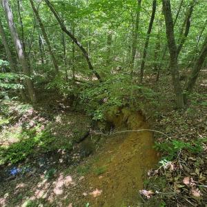 Photo #11 of Witty, Summerfield, NC 20.3 acres