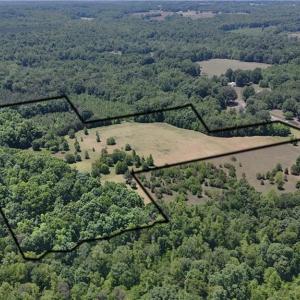 Photo #4 of Witty, Summerfield, NC 20.3 acres