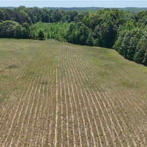 Photo #8 of Witty, Summerfield, NC 20.3 acres